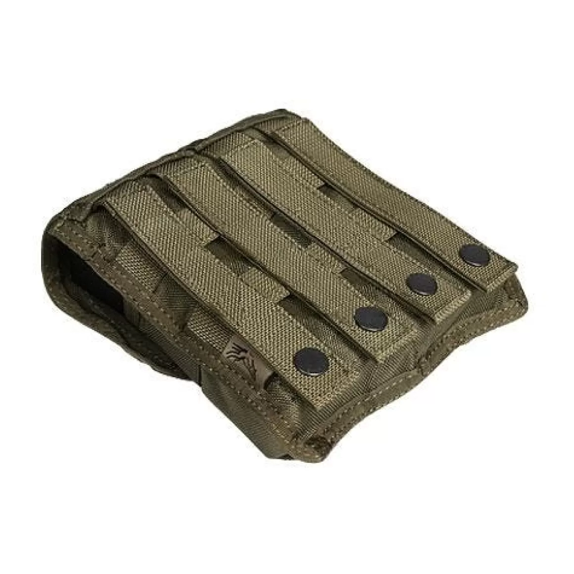 Flyye Industries Magazine Pouches>Flyye Double M4/M16 Magazine Pouch Ver. Fe Molle Ranger Green